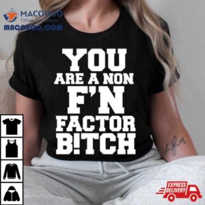 You Are A Non Fn Factor Bitch Tshirt