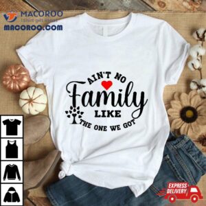 Ain T No Family Like The One We Got Reunion Tshirt