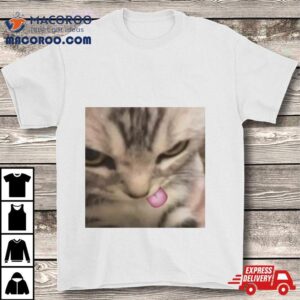 Cat Silly Kitten Shirt