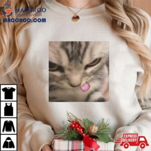 Cat Silly Kitten Shirt