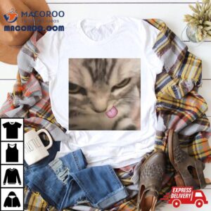 Cat Silly Kitten Tshirt
