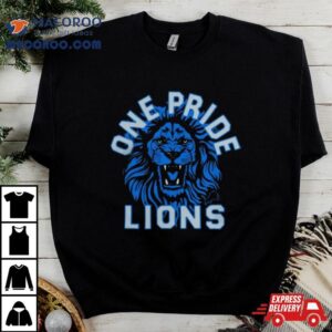 Detroit Lions Football One Pride 2024 T Shirts