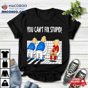 Detroit Lions You Can Rsquo T Fix Stupid San Francisco Ers Football Tshirt