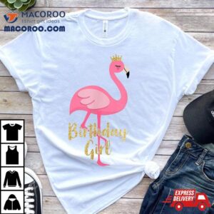 Flamingo Girl Birthday Costume Shirt