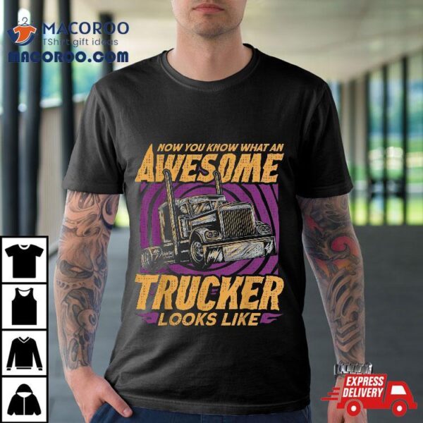 Now You Know What An Awesome Trucker Looks Like Funny Driver Shirt