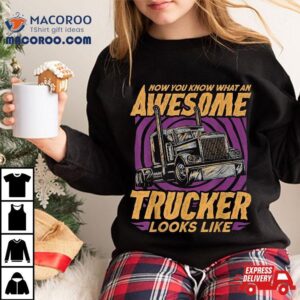 Now You Know What An Awesome Trucker Looks Like Funny Driver Tshirt