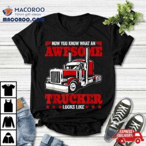 Now You Know What An Awesome Trucker Looks Like Tshirt