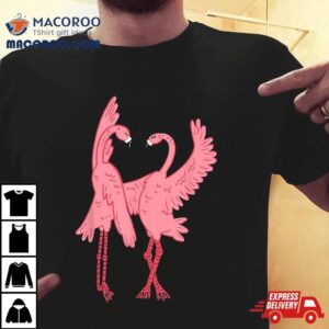 Pink Flamingo Flaco Dance Tshirt