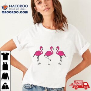 Pink Flamingo Tshirt