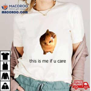 Rabbit This Is Me If You Care Shirt