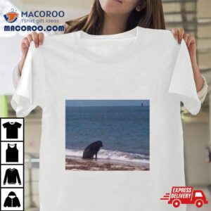 Sad Dog At The Beach Tshirt