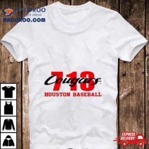 Cougars Houston Baseball Long Sleeve Tee Tshirt