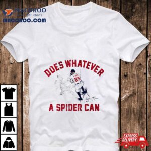 Andruw Jones Spider Catch Tshirt