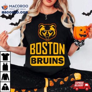 Boston Bruins Hockey Team Vintage Tshirt