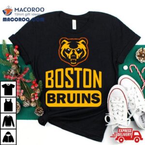 Boston Bruins Hockey Team Vintage Shirt