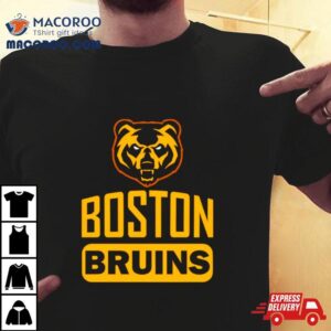 Boston Bruins Hockey Team Vintage Tshirt