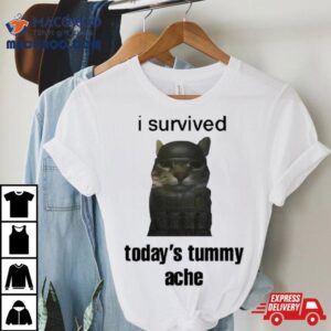 Cat I Survived Today Rsquo S Tummy Ache Tshirt