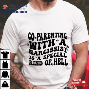 Co-parenting With A Narcissist Is Special Kind Of Hell Shirt