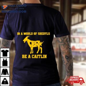 In A World Of Sheryls Be A Caitlin Clark Goa Tshirt