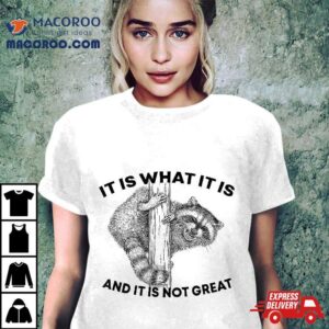 It Is What And Not Great Raccoon Shirt