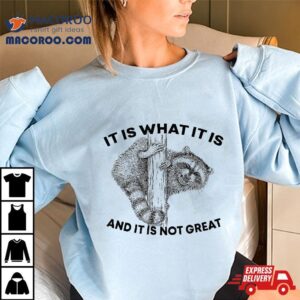 It Is What And Not Great Raccoon Shirt