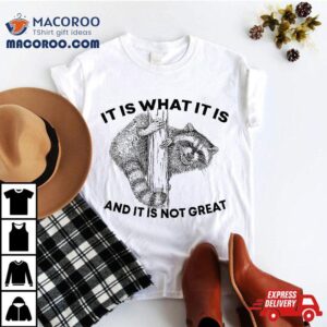 It Is What And Not Great Raccoon Tshirt