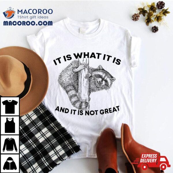 It Is What And Not Great Raccoon Shirt