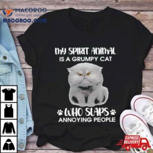 My Spirit Animal Is A Grumpy Cat Who Slaps Annoying People 2024 Shirt