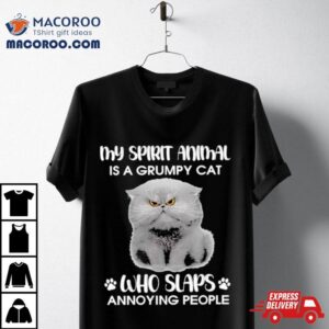 My Spirit Animal Is A Grumpy Cat Who Slaps Annoying People 2024 Shirt
