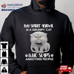 My Spirit Animal Is A Grumpy Cat Who Slaps Annoying People Tshirt
