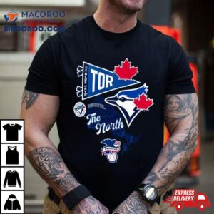 Toronto Blue Jays Split Zone The North Tshirt