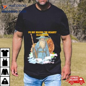Wizard I M Not Beating The Insanity Allegations Tshirt