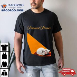 2024 Joywave Permanent Pleasure Shirt