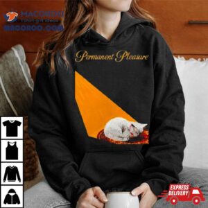 2024 Joywave Permanent Pleasure Shirt