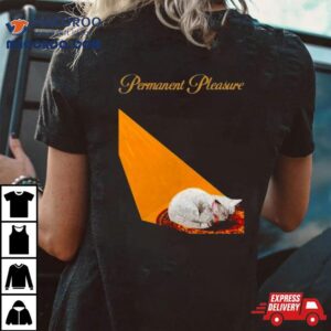 Joywave Permanent Pleasure Tshirt
