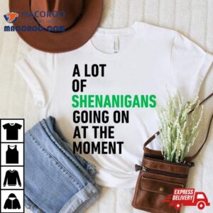 A Lot Of Shenanigans Going On At The Momenshirt
