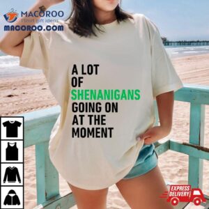 A Lot Of Shenanigans Going On At The Momen Tshirt