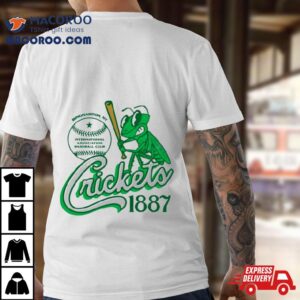 Binghamton Crickets New York Vintage Defunct Baseball Teams Tshirt