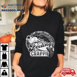 Can T Work Today Feeling Crappie Tshirt