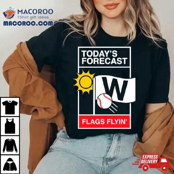 Chicago Baseball Weather Reporshirt