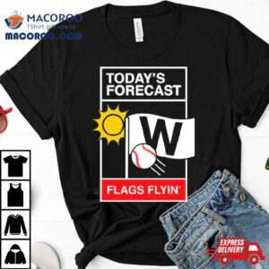 Chicago Baseball Weather Repor Tshirt