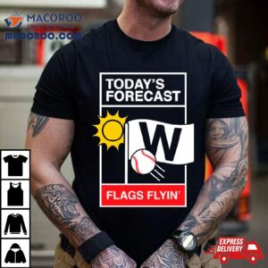 Chicago Baseball Weather Repor Tshirt