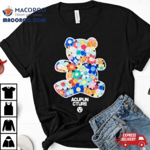 Djkarri Rainbow Bear Acupuncture Bear Tshirt