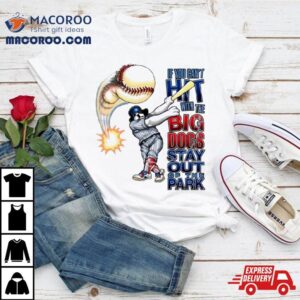If You Can’t Hit With The Big Dog Stay Out Of The Park Baseball Shirt