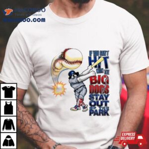 If You Can’t Hit With The Big Dog Stay Out Of The Park Baseball Shirt