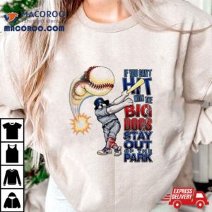 If You Can T Hit With The Big Dog Stay Out Of The Park Baseball Tshirt