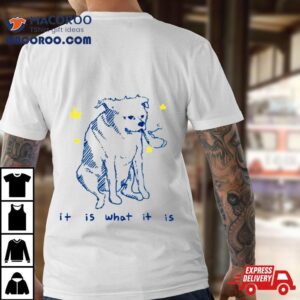 It Is What It Is Dog Shirt