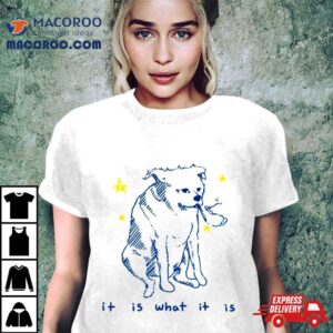It Is What It Is Dog Shirt
