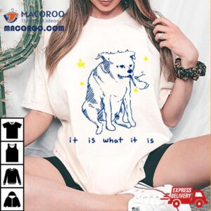 It Is What It Is Dog Tshirt
