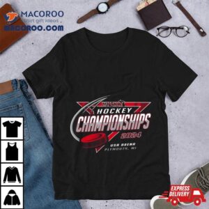 Mhsaa Hockey Championships Usa Arena Plymouth Mi Tshirt